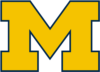 Michigan Wolverines hockey