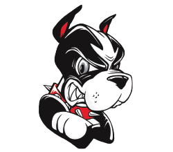 Boston University Terriers