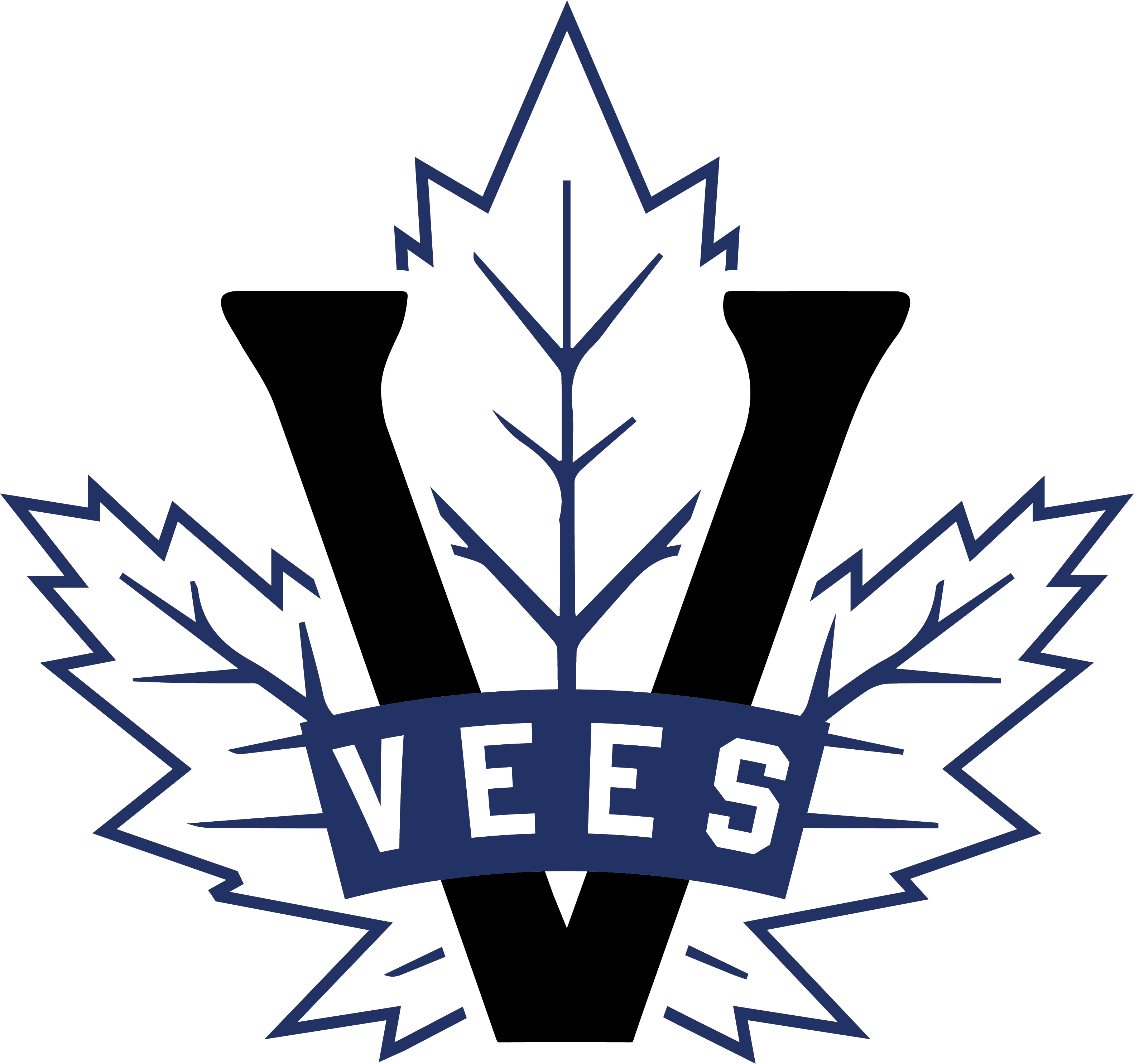 Penticton Vees