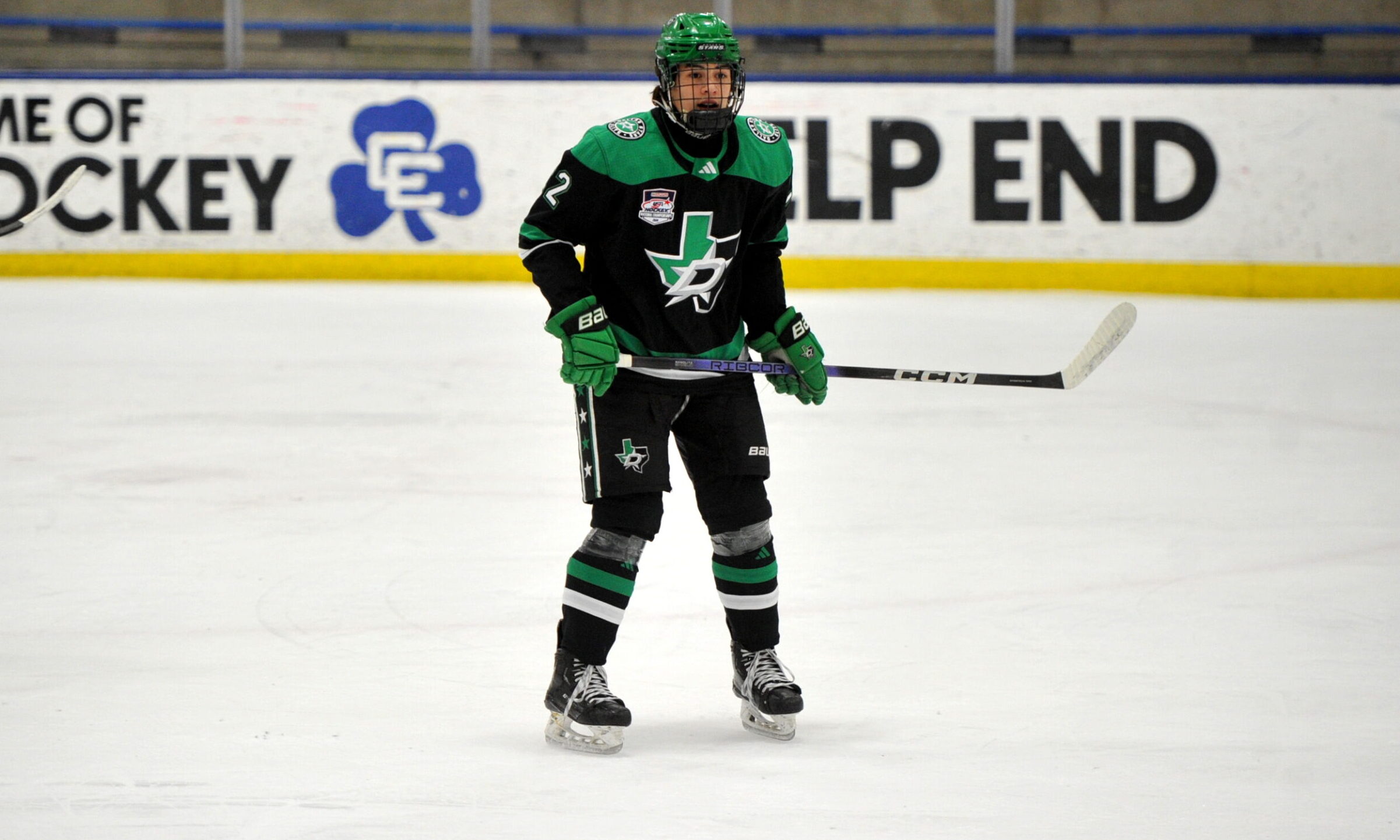 20 skaters evaluated from the USHL Fall Classic Mount St. Charles