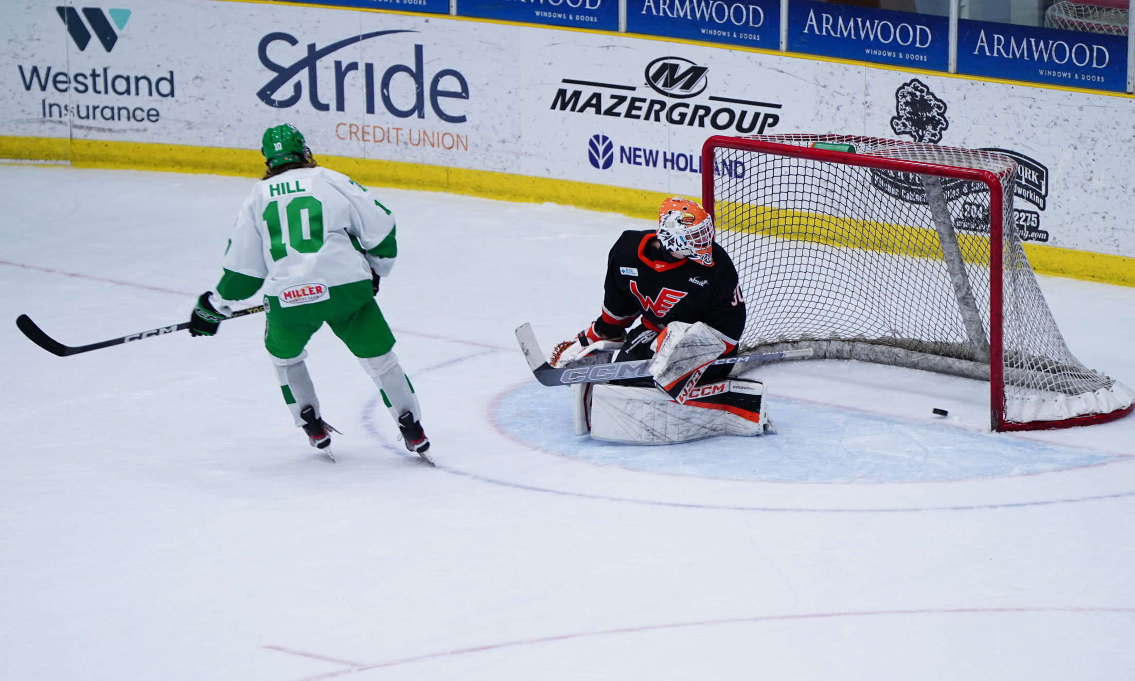 Photo courtesy of the Portage Terriers